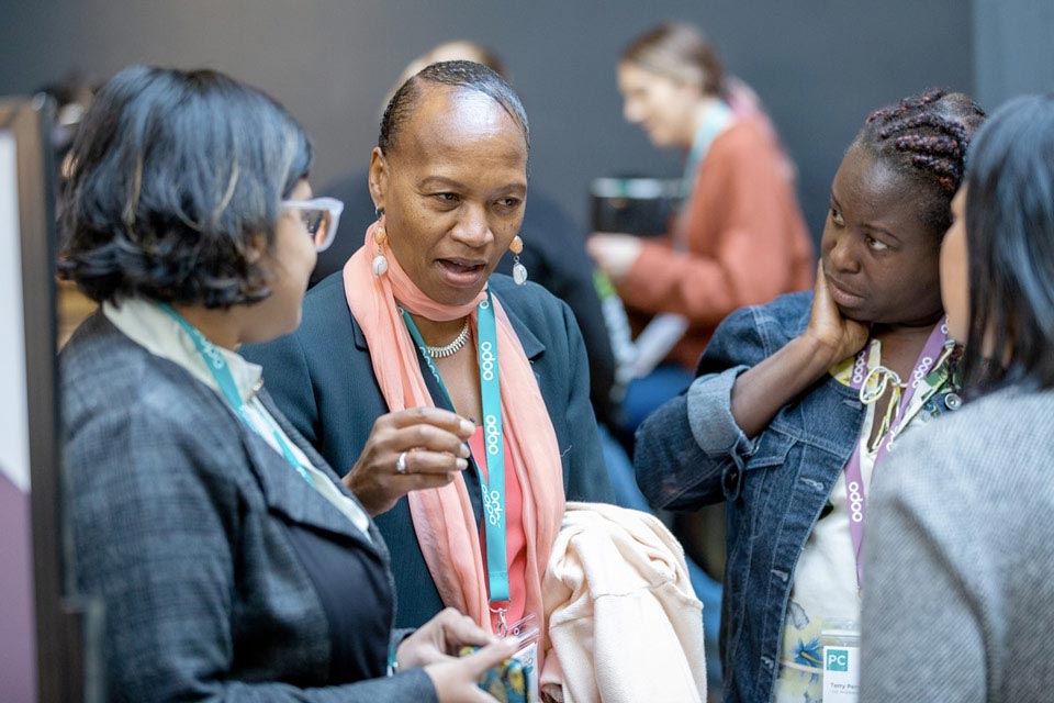 Python / Odoo Entwickler